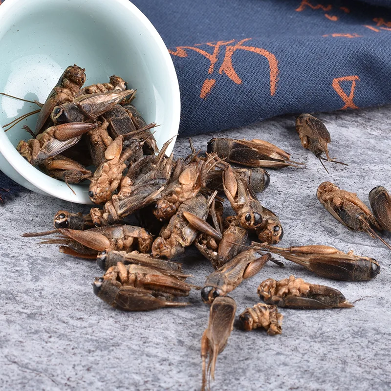 Limited Time Promotion Factory Wholesale Price Clean High Protein Wholesale Freeze Dried Crickets