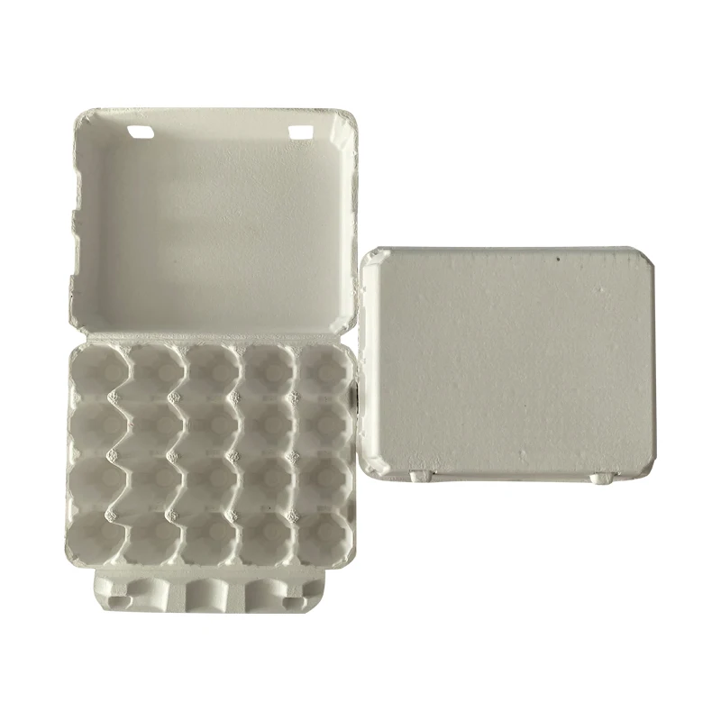 ZY Paper Egg Carton Chicken cell Pulp Fiber Carrier Tray Holder Bulk Hold 20 Count Eggs Farm Market Travel Egg Storage Container