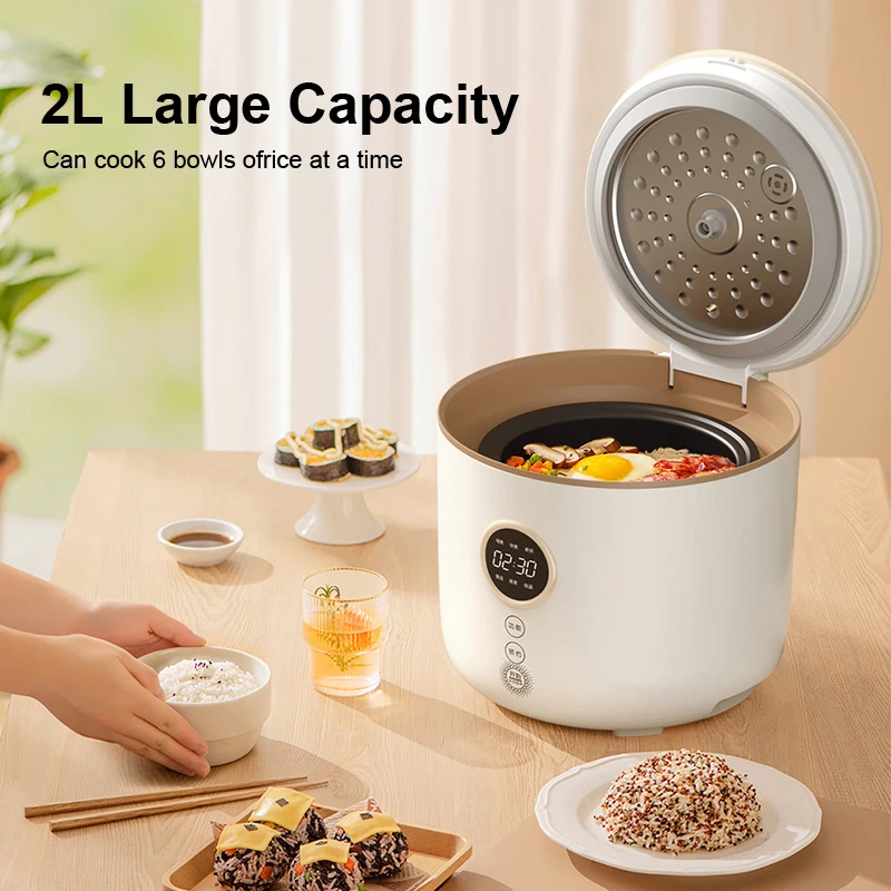 Multi-Function Rice /Soup /Pasta /Porridge /Ramen Boiling Water Mini Electric Cooker Non-Stick Rice Cooker
