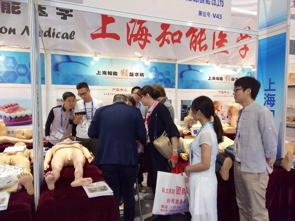 ADA-A1052 PVC and Glass Gastric Anatomy Model for Medical Education for Schools and Hospitals