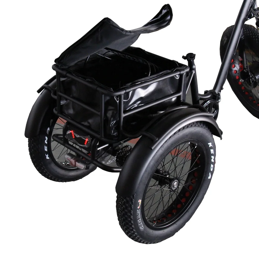  Electric auto rickshaw pedicab tuk for
