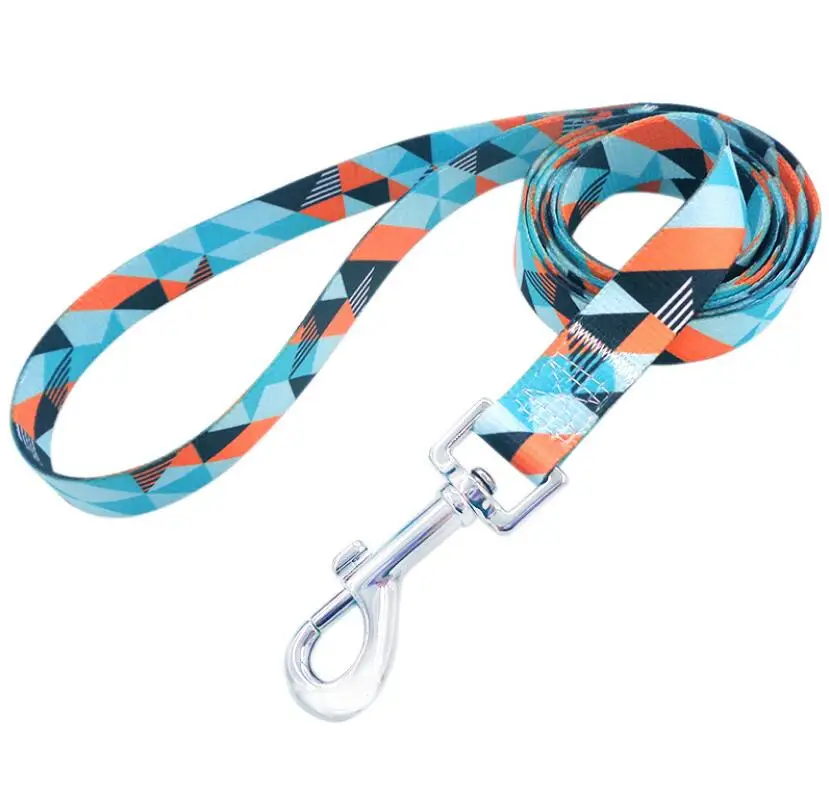 
New Product Unique Design Colors Nylon Dog Leash for Different Dog 