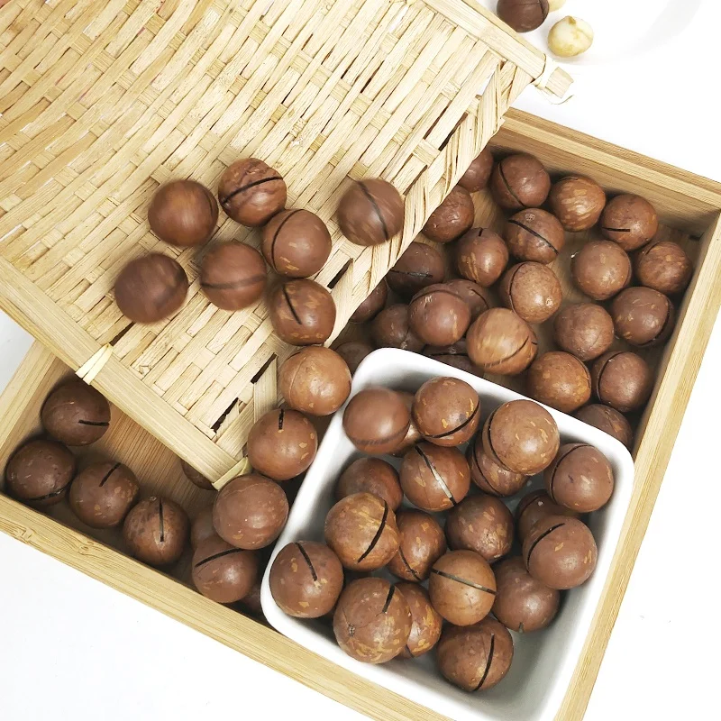 Macadamia Nuts Roasted and Cracked 22mm--25mm Nutritious Direct-Eating Snack Wholesale from China .