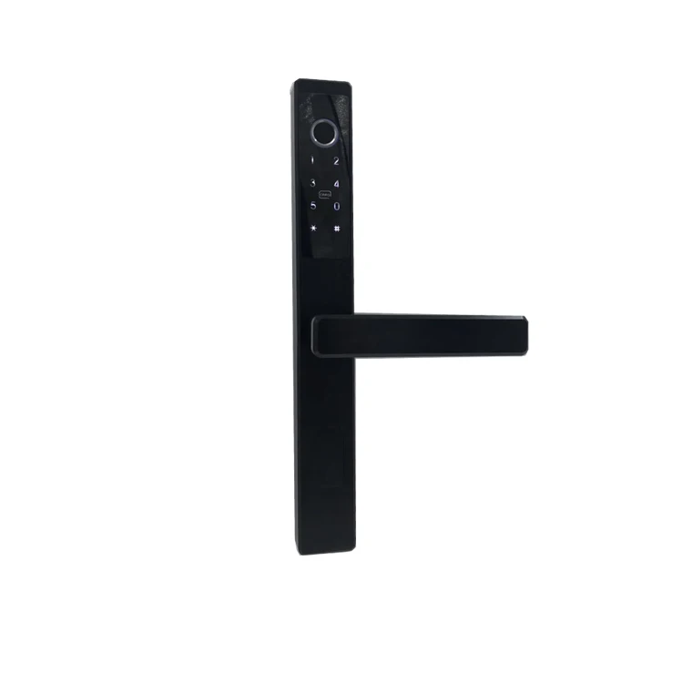 
ELA Hot Selling Smart Home Proximity Password Fingerprint Lock Door 