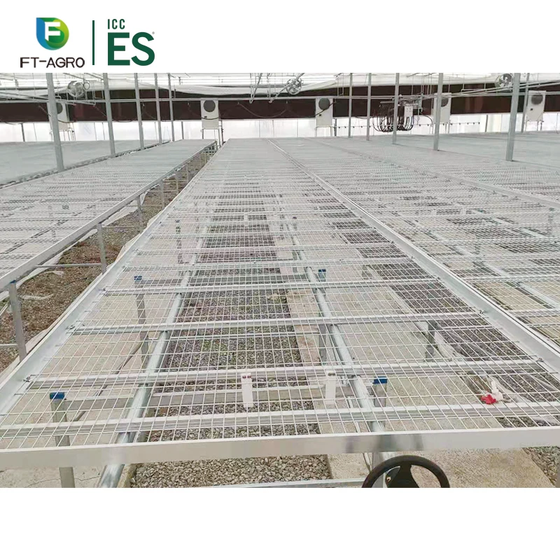 Agricultural equipmentHot sale and best selling Seeding Bed For Vegetable Growing