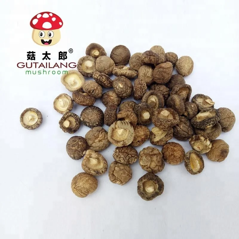 High quality dried shiitake mushroom best seller special for soup dried mini shiitake mushroom
