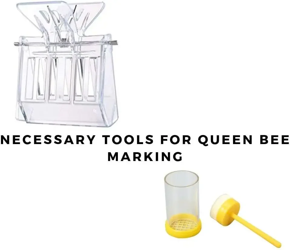 Factory price  Beekeeping Tools Kit bee smoker ,hive tool ,and other Beekeeping Tools
