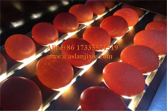 Egg plant egg grading machine/ goose egg weight sorting machine/duck Egg  size selecting machine