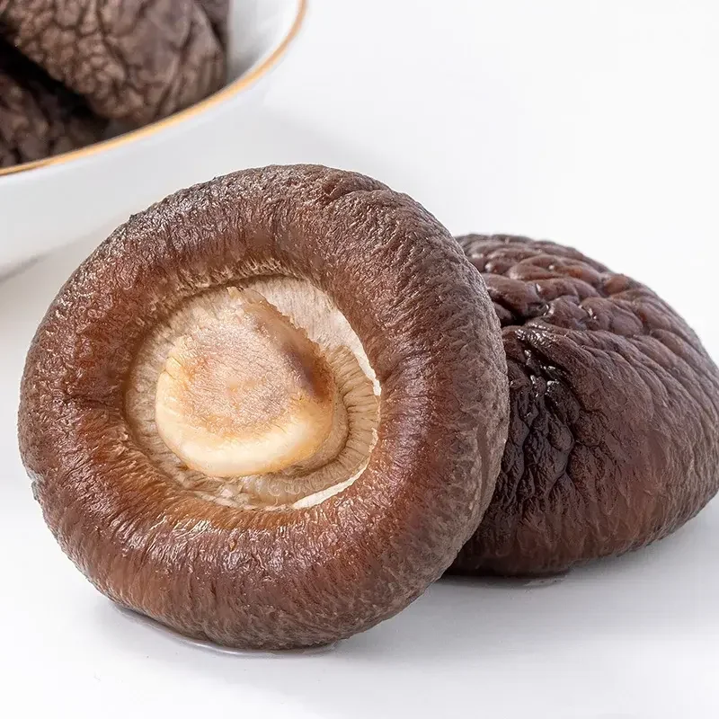Certified Quality Button Mushroom Spawn White Agaricus Bisporus Mushroom