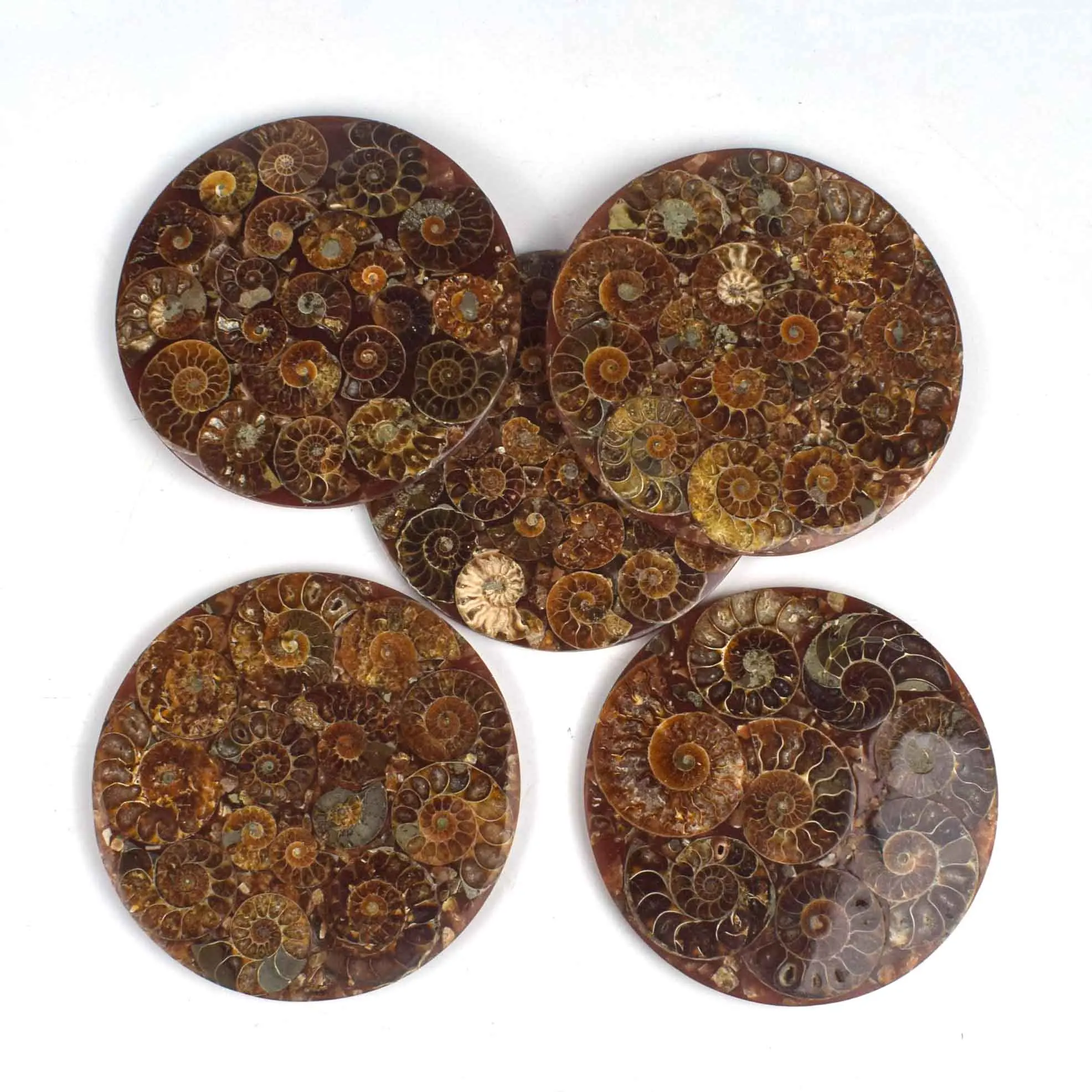 Wholesale Natural Crystals Ammonite Teacup Mat Polished Fossil Plate For Decoration