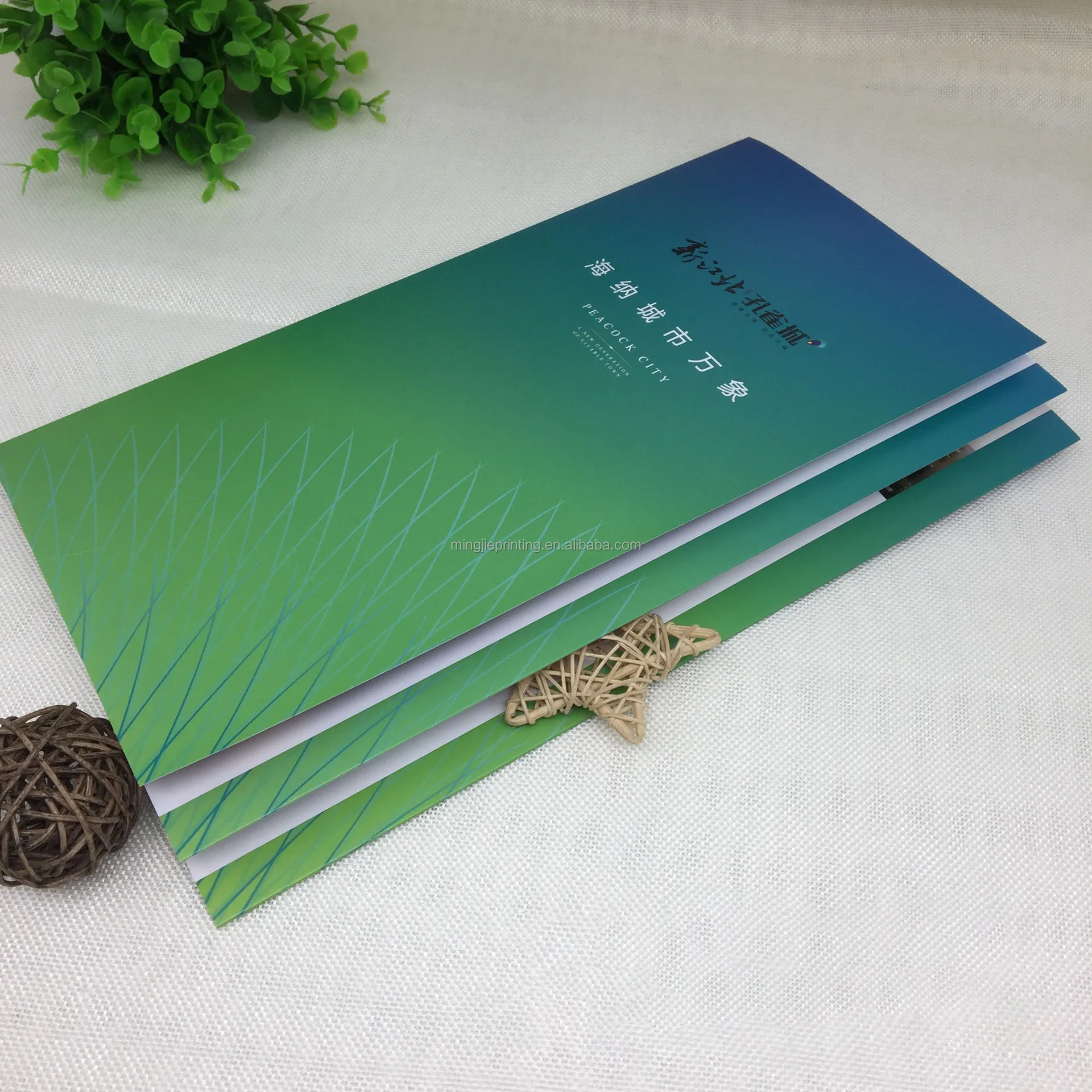 High-grade customized special folding type booklet product  instructions angle rounded mobilephone manual Various folding types