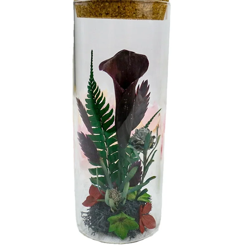 Real Preserved Calla Lily Flowers Glass Cork Decorative Windowsill NarrowTubes  Boho Glasses Dried Flowers Decorative Calla Lily