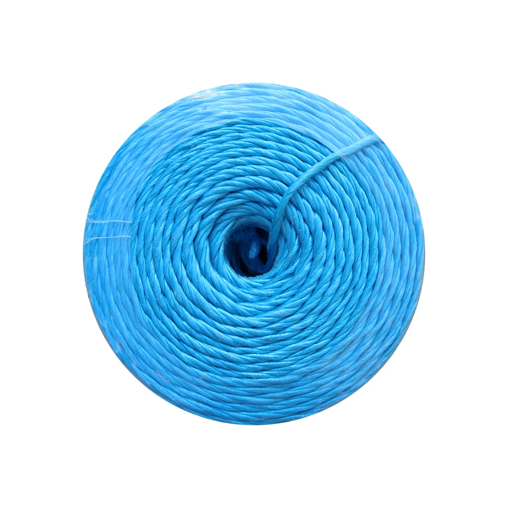 UV-resistance Polypropylene Cord Customized Length PP Hay Baler Twine for Alfalfa Hay Packing and Binding