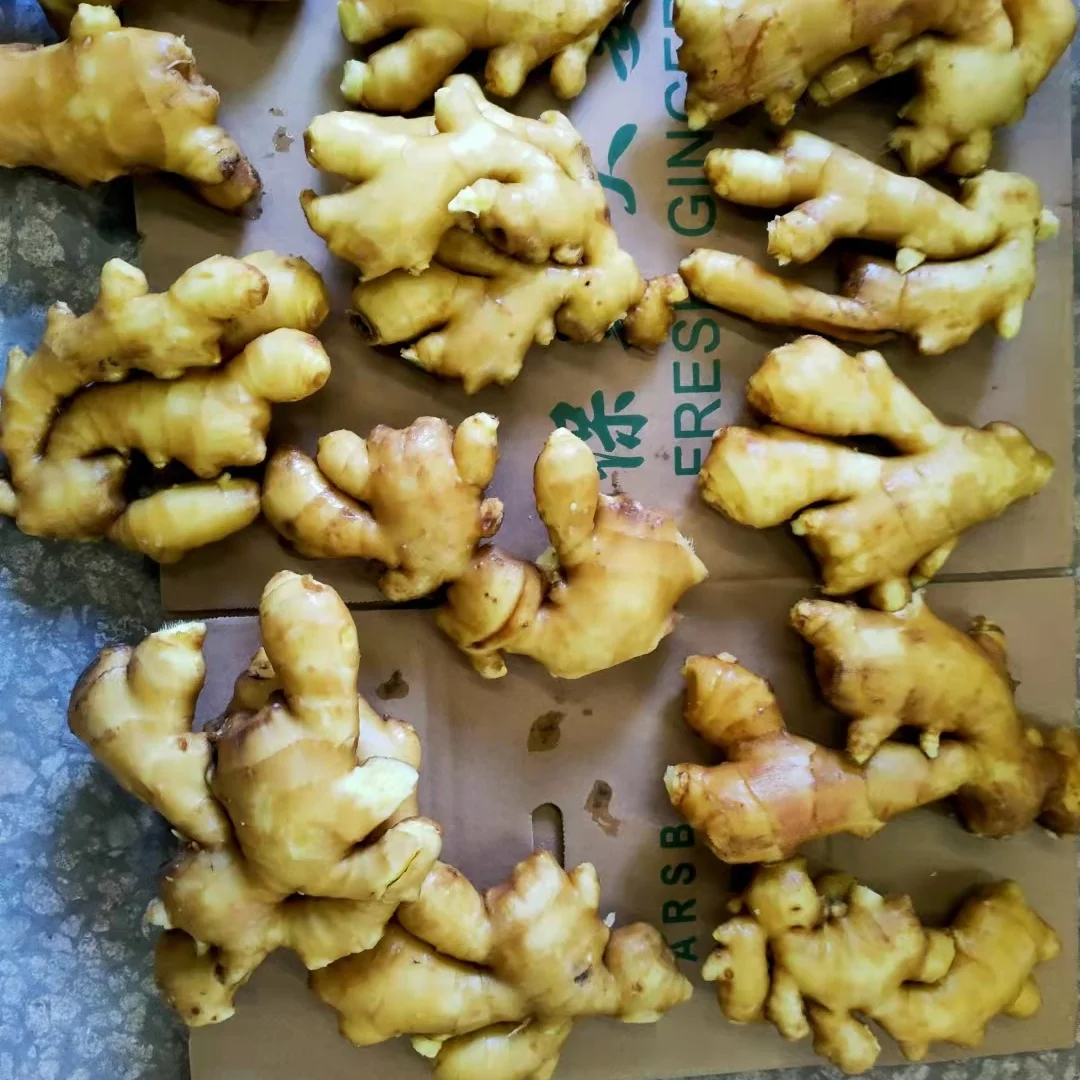 150g up USA ginger 2.jpg