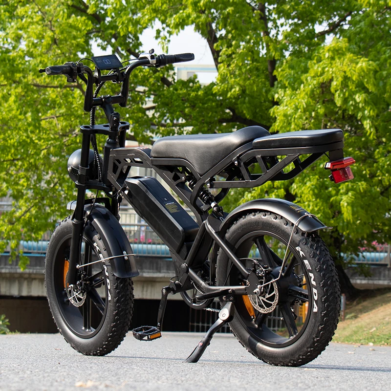 EU Stock 2 Seat Electric Bike for Adults Front Rear Hydraulic Brake Bicycle Bicicleta Electrica 48V 15ah Fat Tire Electric Bike