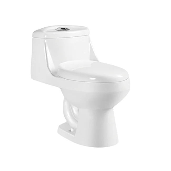favorable price ceramic sanitarye ware bathroom ceramic dual flush siphonic one piece  WC  toilet