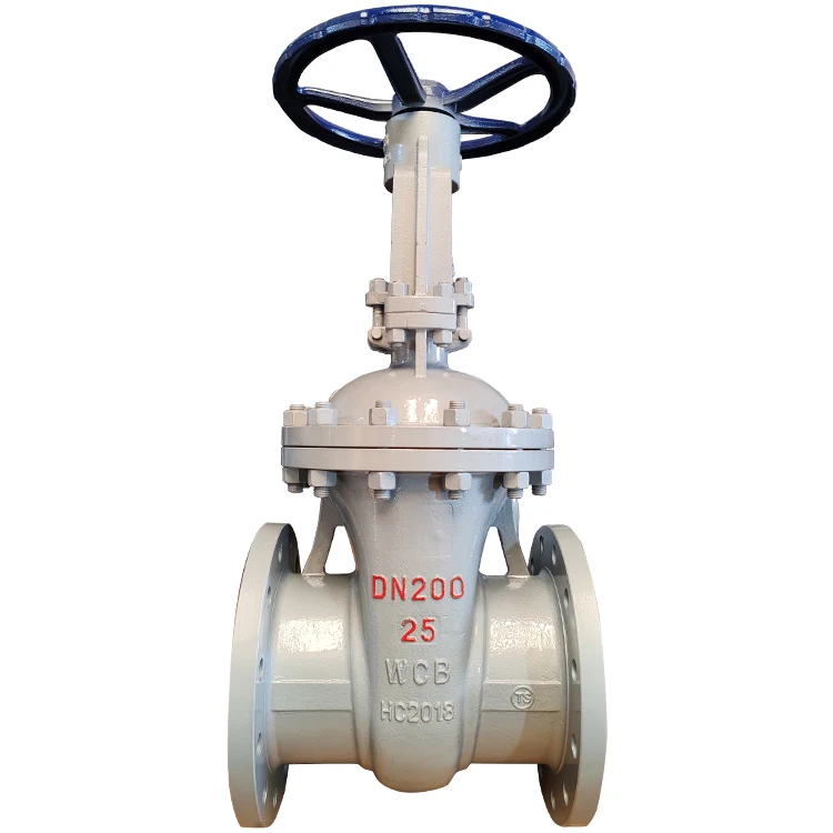 WCB Gate Valve Z41H64C DN300 Falnge Cast Steel Gate Valve
