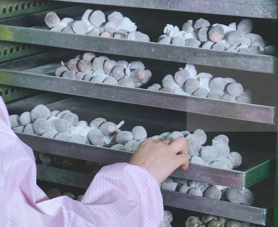 
Wholesale premium organic Fujian blooming flower tea 