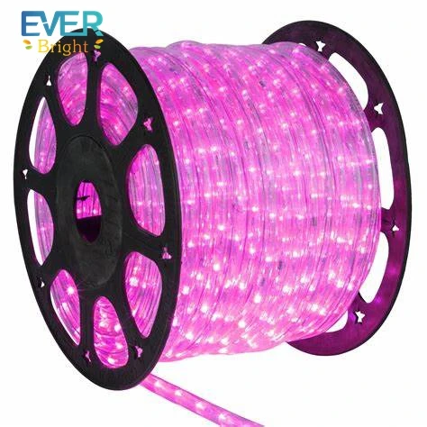 10m 50m 100m waterproof Warm White led rope light for outdoor christmas decorations