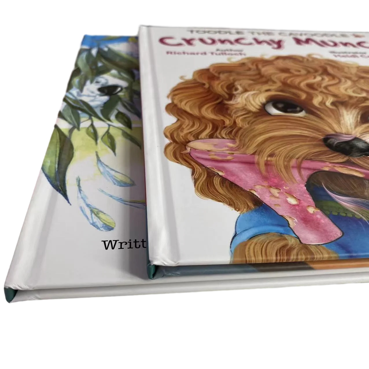 Детская мягкая книжная печать в мягкой обложке