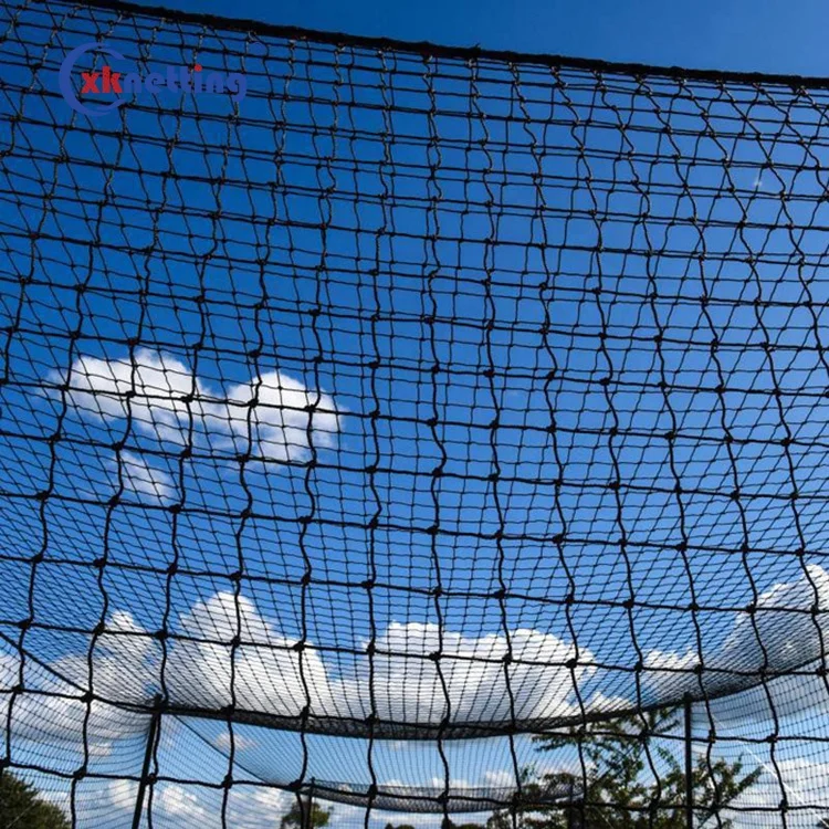 Custom cricket net Polypropylene 50 mm sport court goal garden pp practice cricket net