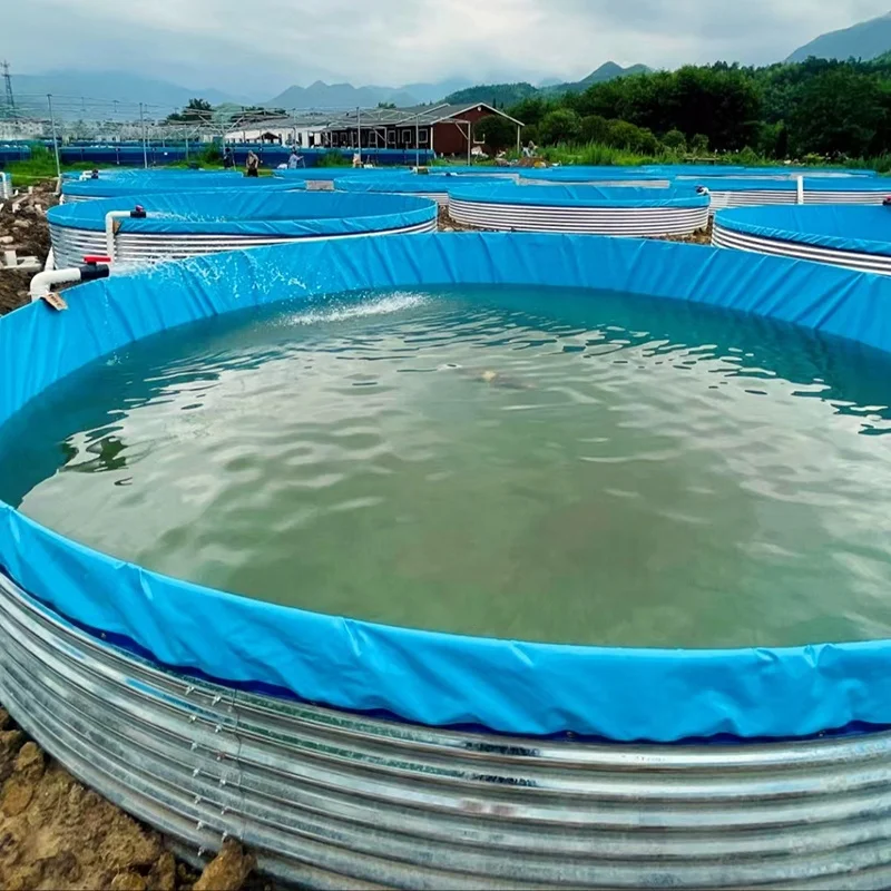 Large Round Diameter 10 Meter/Height 1.5 Meter PVC Tarpaulin Tilapia Aquaculture Fish tank