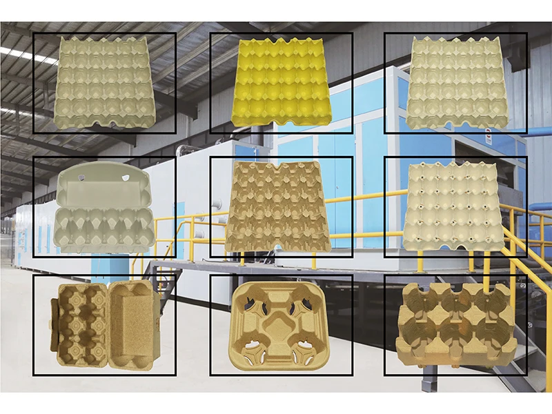 Coffee Cup Holder Egg Box Production Line