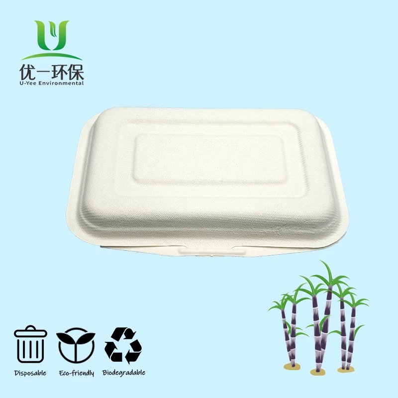 OBM ODM Eco Clamshell Take Away Sugarcane Bagasse 100% Biodegradable Food Packaging Containers