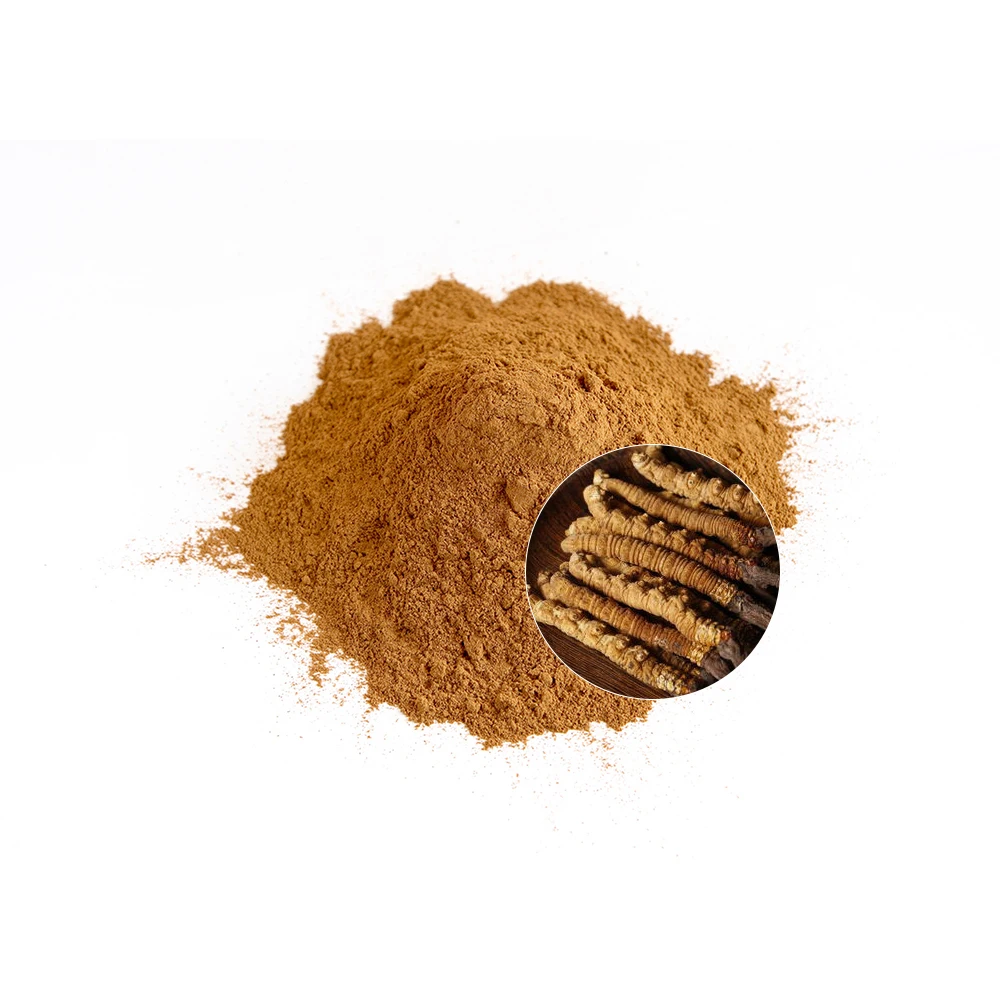 Durlevel Supply Cordyceps Sinensis Extract 0.6% 1% 3% 5% Cordyceps Sinensis
