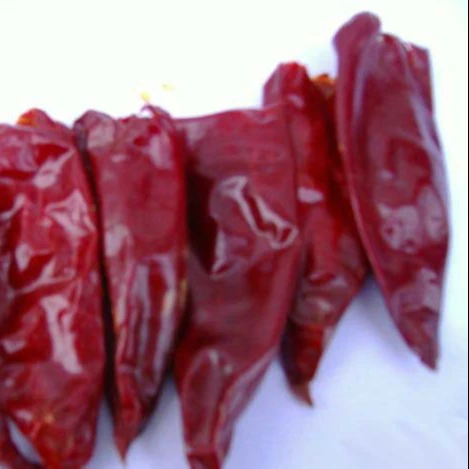Top quality dry dark red Yidu red sweet chilli paprika for pigment extraction