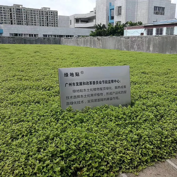 Rooftop Decoration Seed Plant Tray Flat Planter Flower Pot Garden