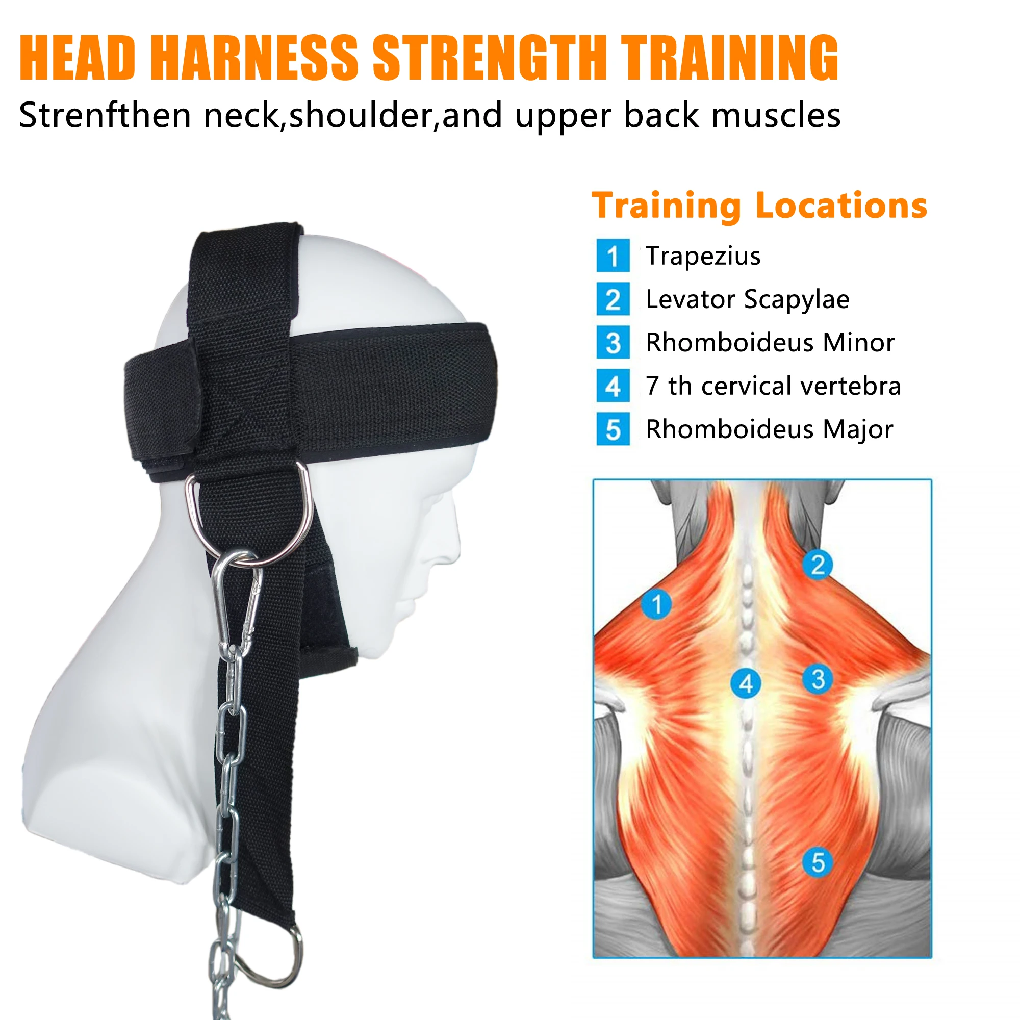 
Lifting Strap with Chain Adjustable Head Harness Neck Trainer for Home Gym Weightlifting Bodybuilding Barbell Workout 