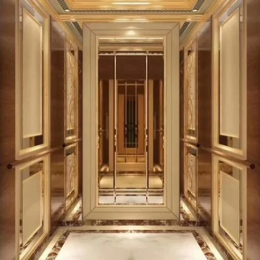 Good Price Residential Elevator China Factory Passenger Elevator for Home Lift