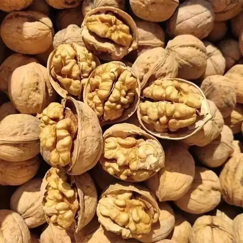 Top Quality Wallnut Wholesale Paper Raw 33 185 Walnut Bulk Price Big Walnuts In Shell