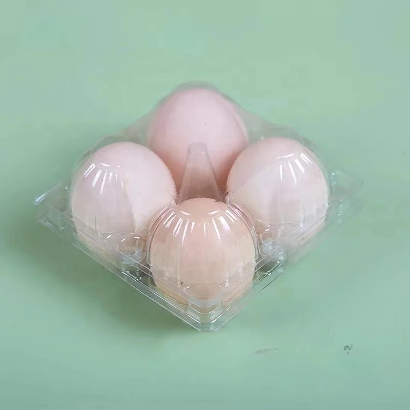 2-10 Holes Eco-friendly Plastic Egg Tray Clear PET Plastic Egg holder for Storage Clamshell Style Accept Custom