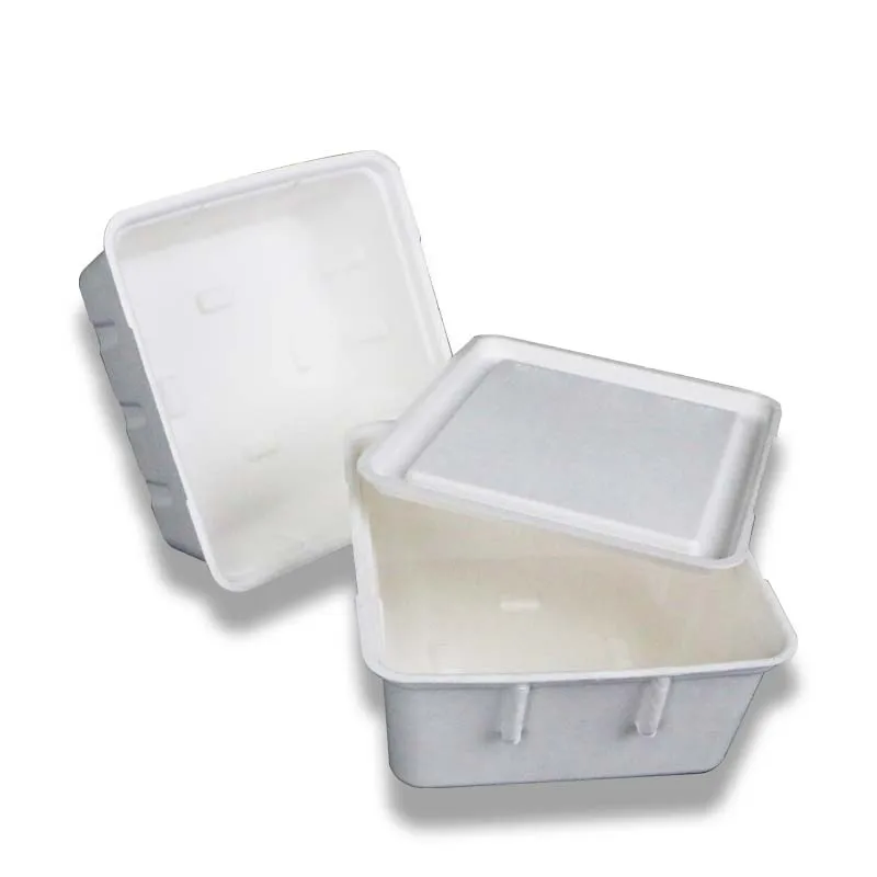 OEM Wholesale Custom Disposable Portable And Leak-proof Pulp Bagasse Inner Packaging For Food Box
