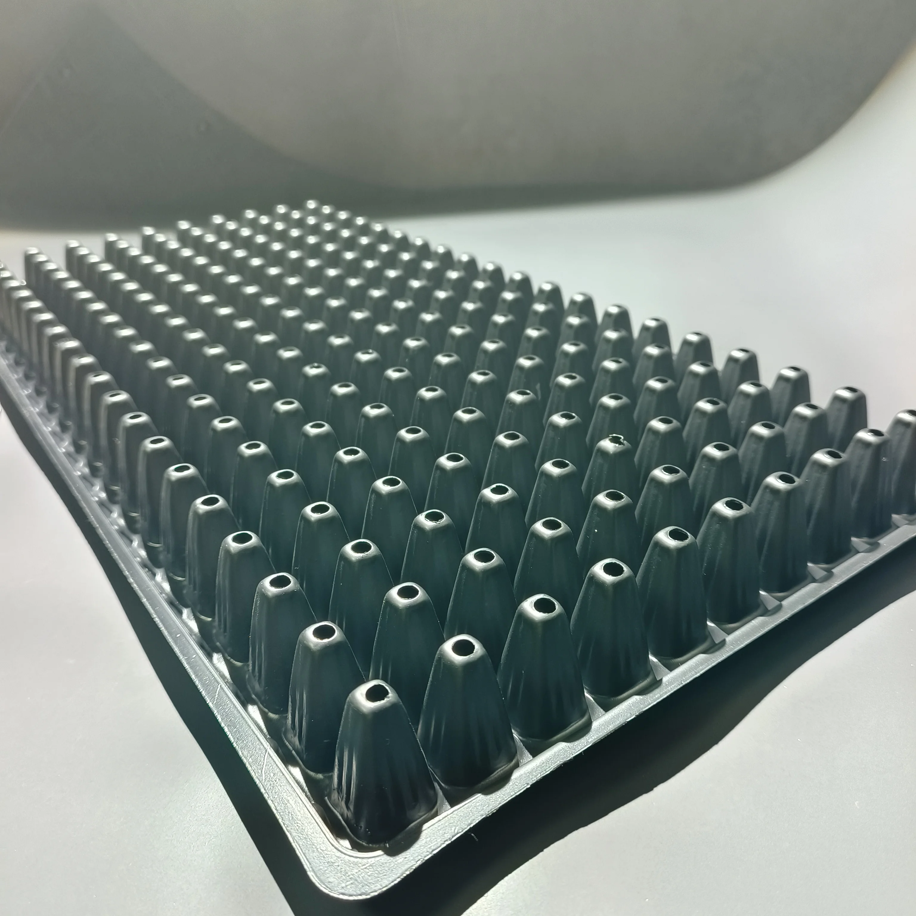 Chinese factory seedling tray 200 cell vegetable seeding for agricultural