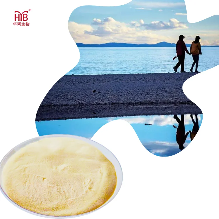 Healthcare Supplement OEM Custom Oyster Peptide Powder Small Molecule Hydrolyzed collagen Peptide for Keeping Moisture