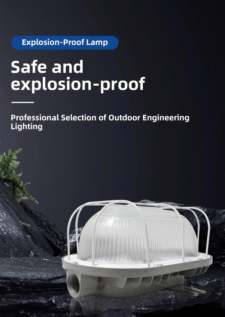 High Quality Factory Workshop Led Explosion-Proof Light Professional Explosion-Proof Light Ip65