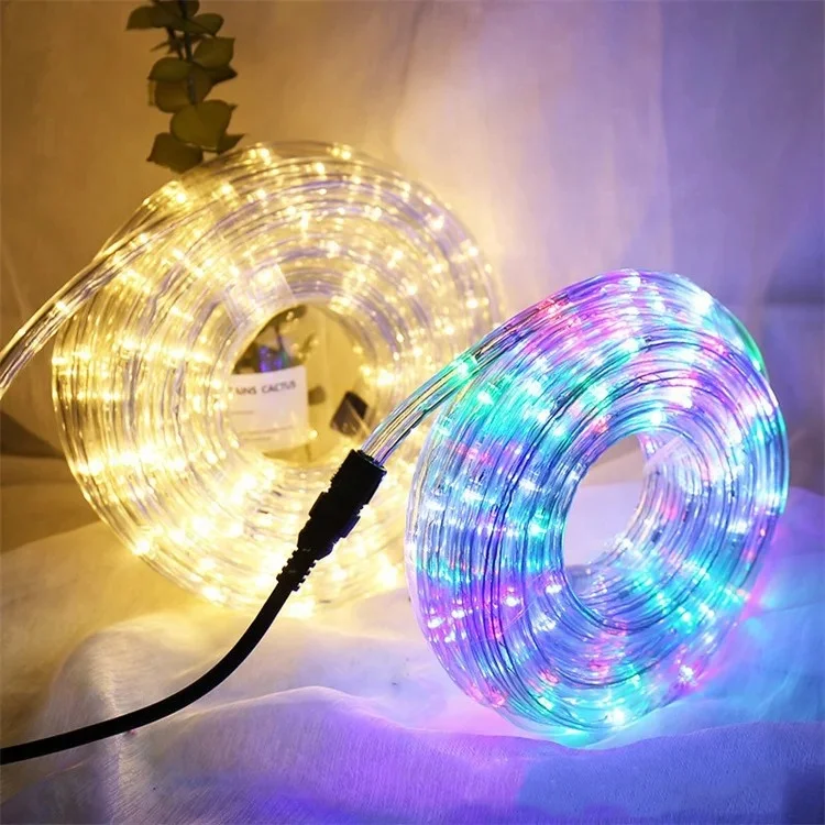 LED Strip Light 100M RGB 110V 220V Waterproof Decoration Flexible Ribbon Led Rope Light with AC Adapter