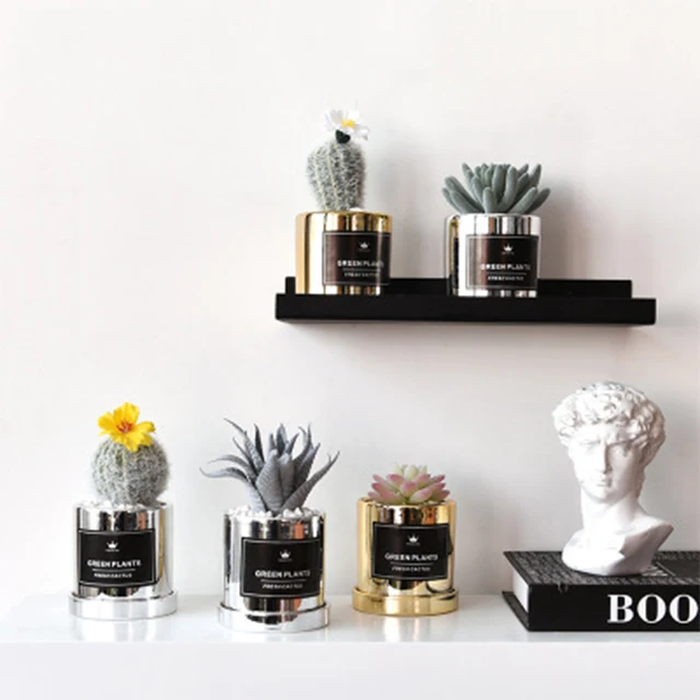 INS Golden Cactus Succulent Simulated Plant Potted Creative Artificial Plants