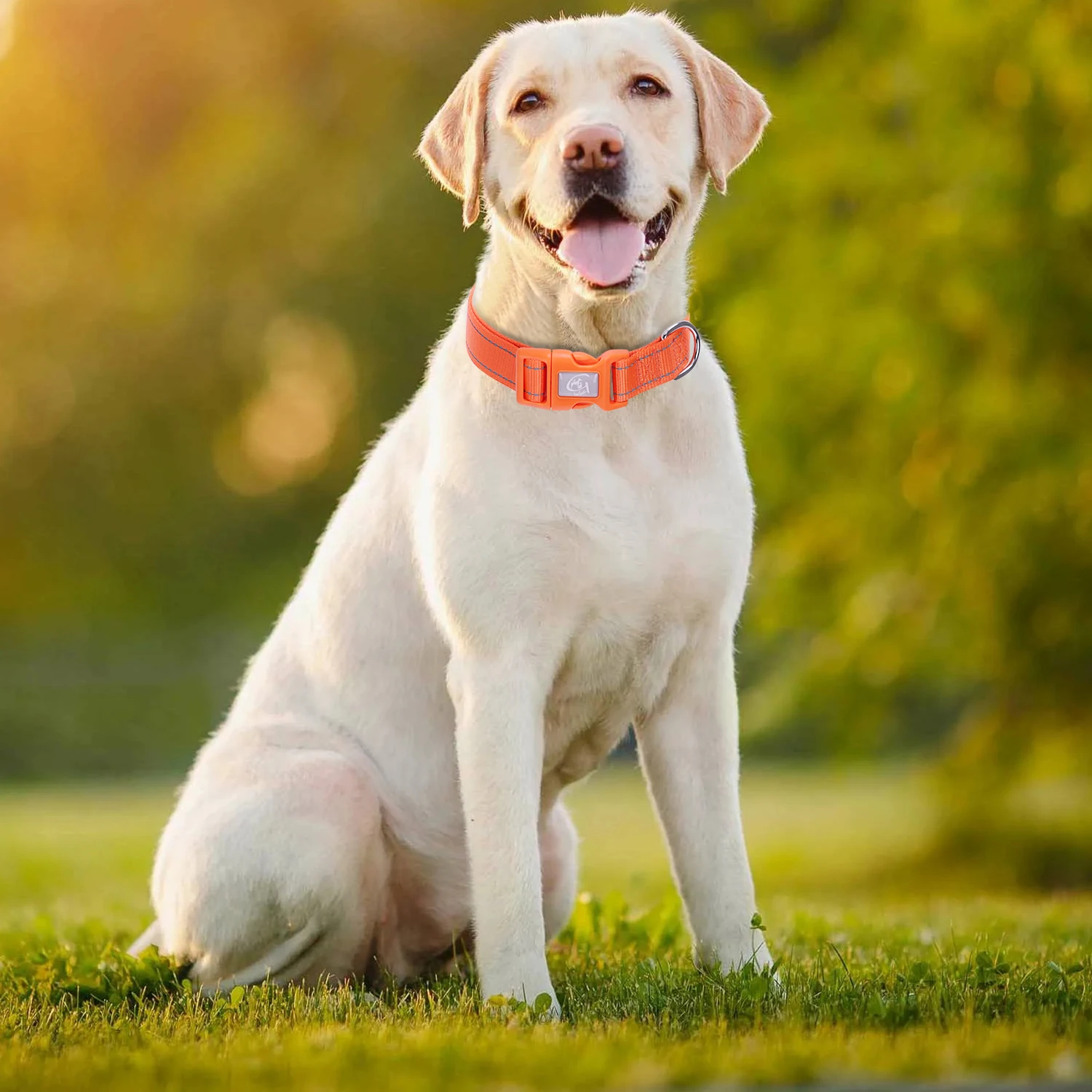 Heavy Duty 12 Colors Plain  Reflective Nylon Dog Collar For Small ,Medium,Large Dogs