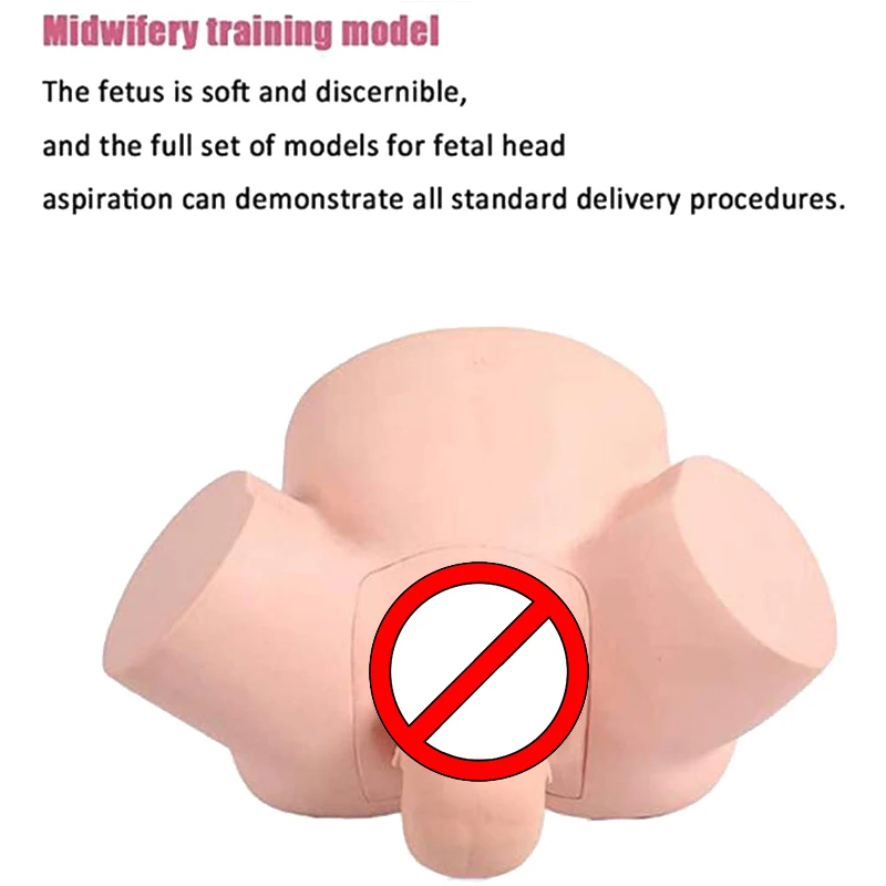 Medical Midwifery Training Model Difficult Labor Model Advanced Dystocia Simulator