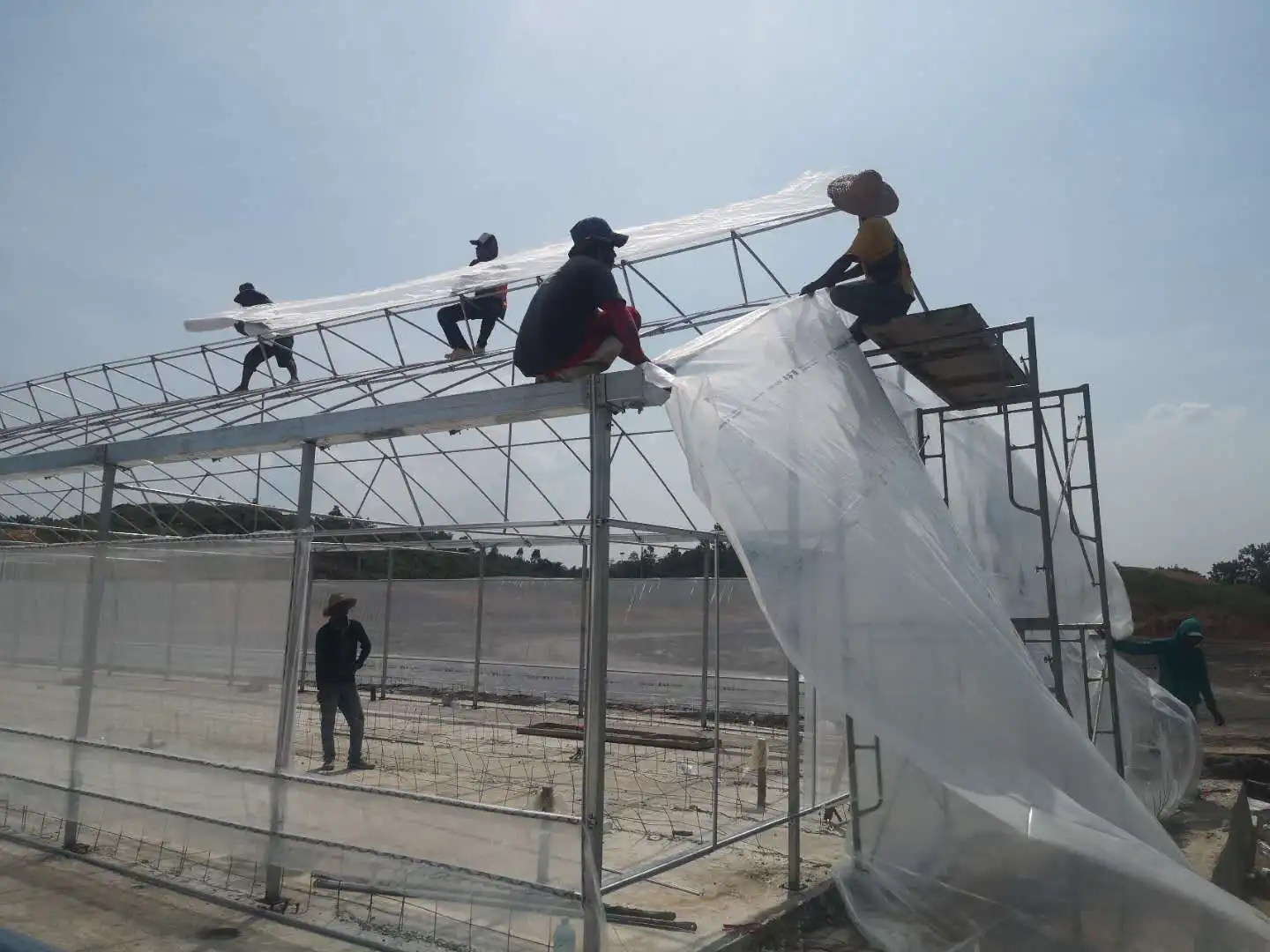 Zambia Low Cost Greenhouse 30 X 100 Greenhouse Modern Greenhouse For Vegetables