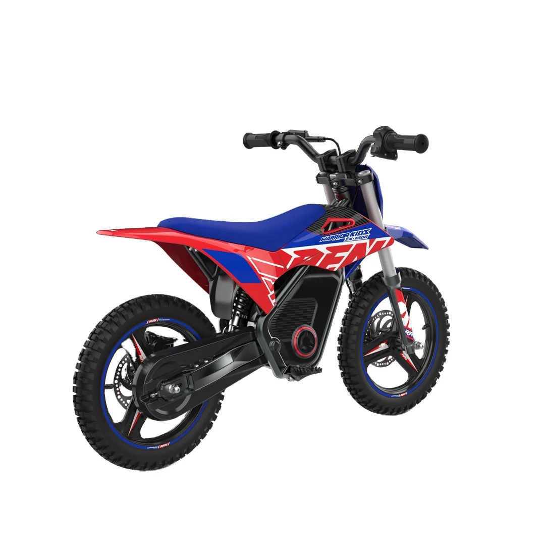 Детский Электрический велосипед CHONGQING JIESUTE 36V250W