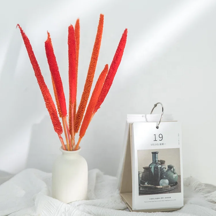 customized flower bouquet dried flowers cattail millet multiple colors bulrush millet flowers