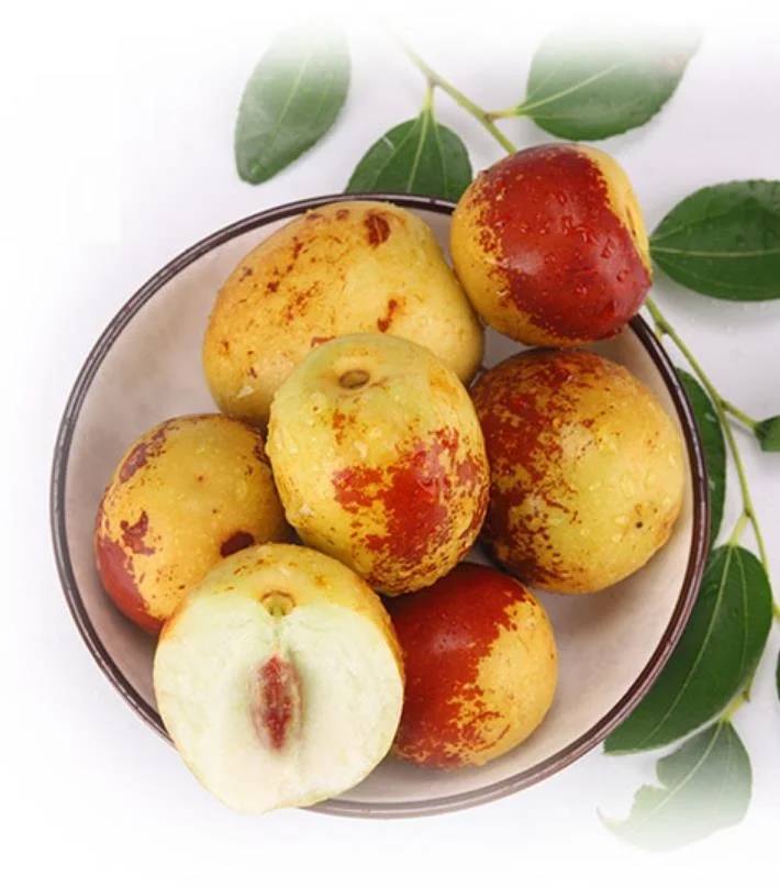 
Hot selling Chinese Fresh winter jujube /Dates fruits for export fruits market 