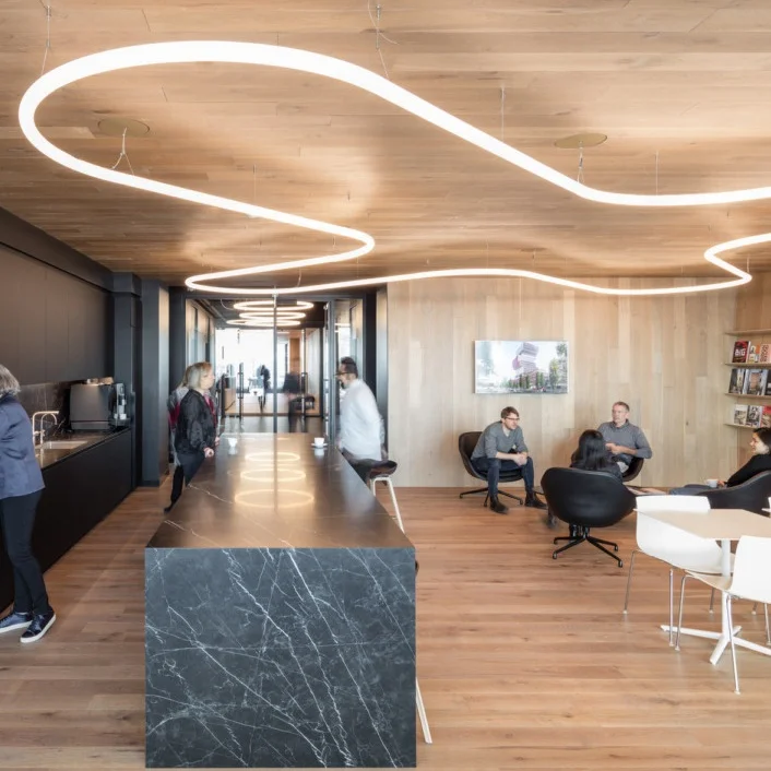 
HLINEAR LC4060-S-7100 Black/White Curved LED Linear Light Office Pendant Suspension Light 