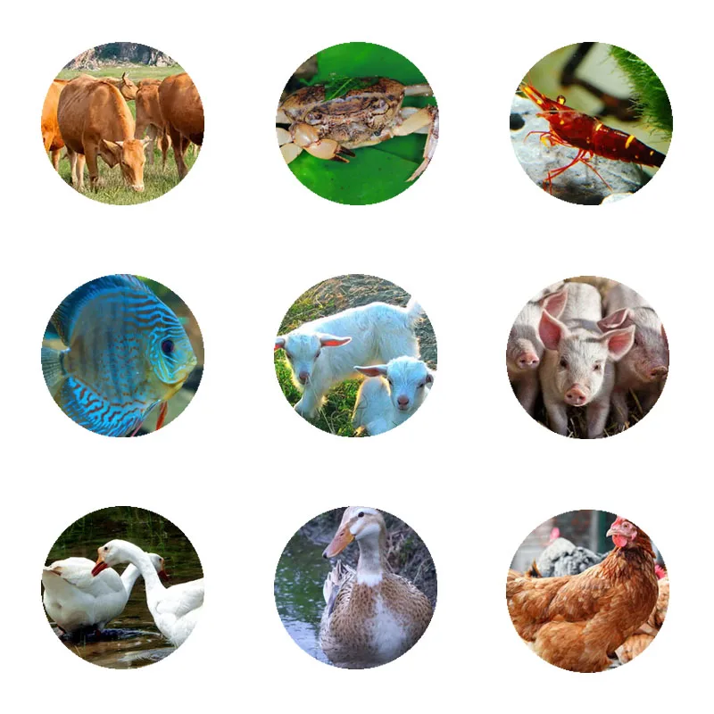 Factory wholesale handmade die making anfish pallet feed pellet machine with good quality