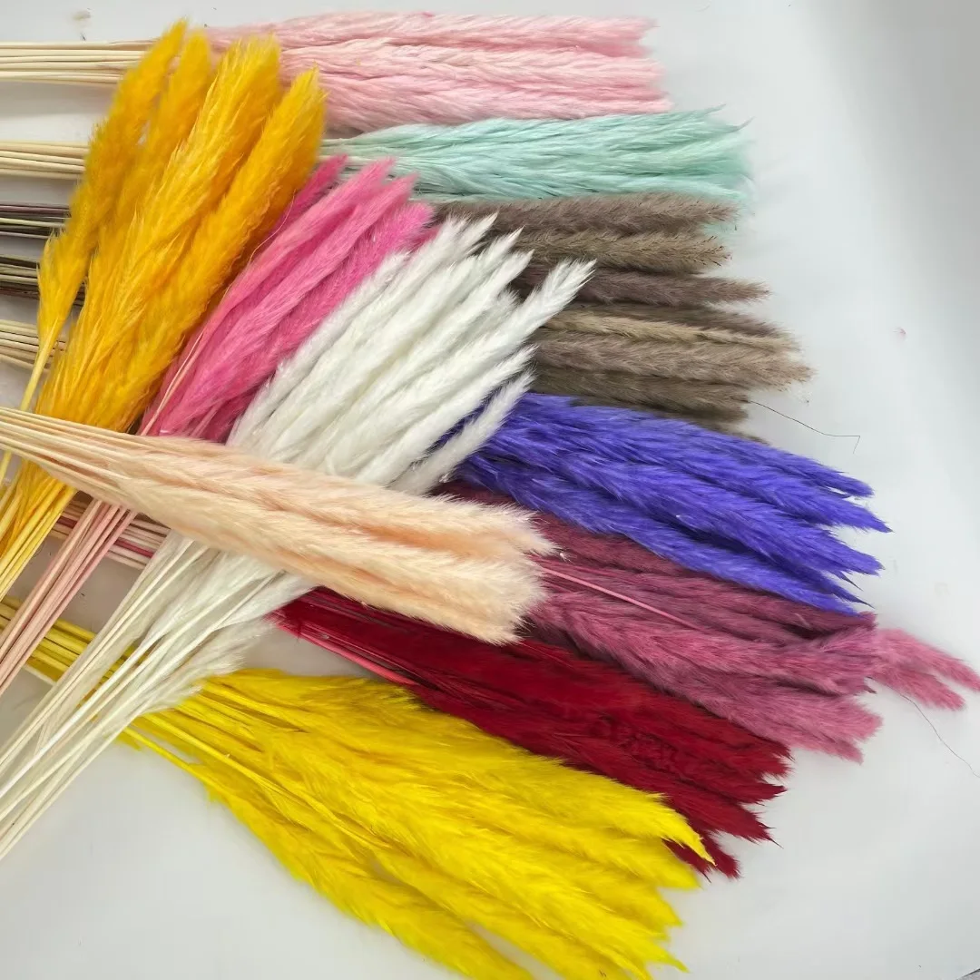 Dried flower customizable Package 45cm  Dried Pampas Grass potpourri dried flowers